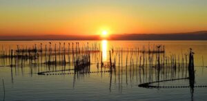 Paseo en barca por la Albufera